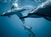 pg游戏官网登录入口—玩转精彩世界，从这里开始